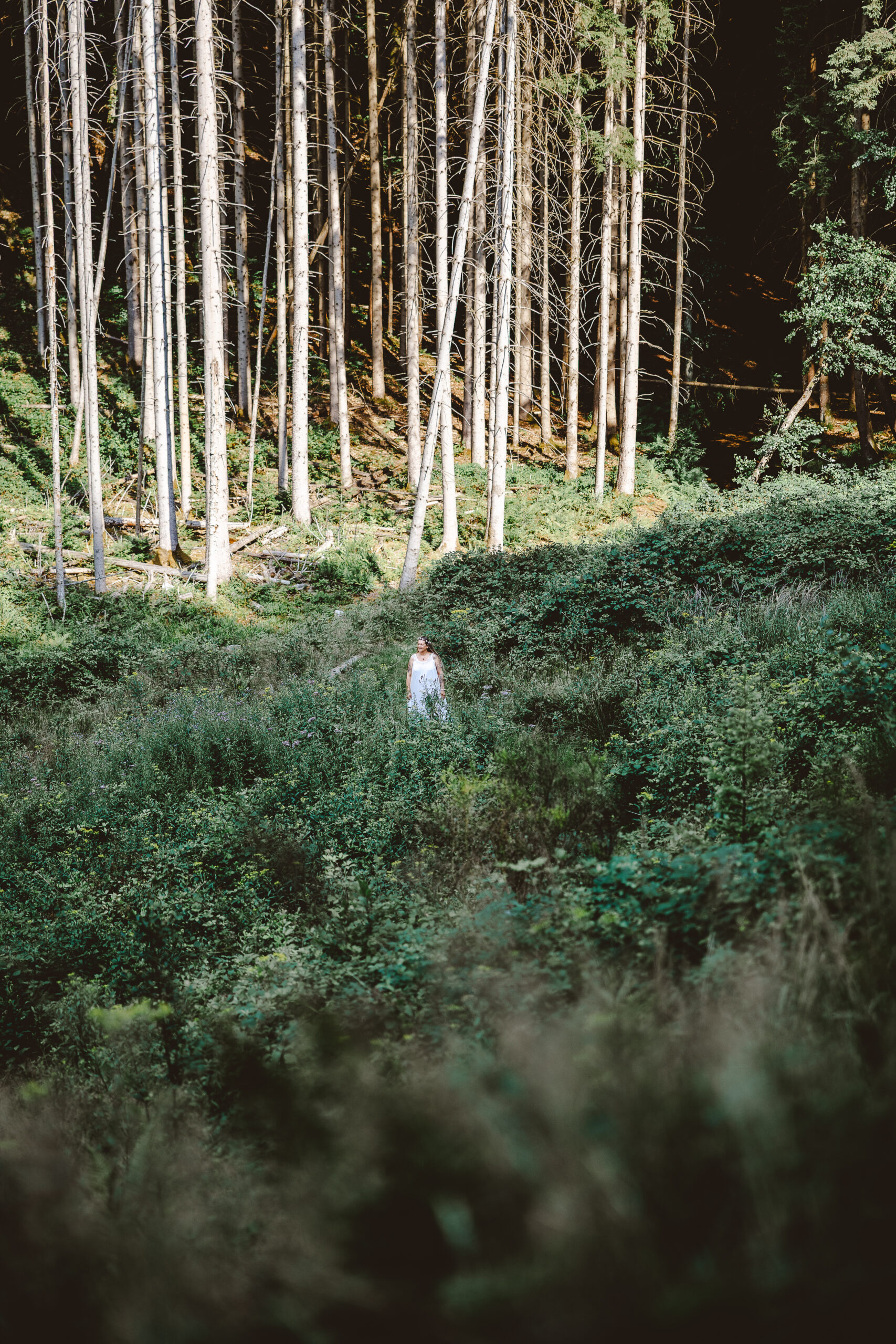 portrait de femme en lumière naturelle dans la foret d'alsace