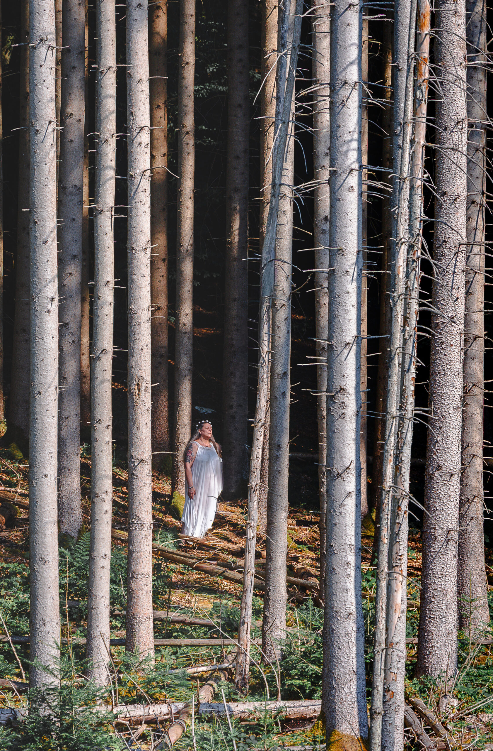 portrait femme dans la forêt en alsace en lumière naturelle