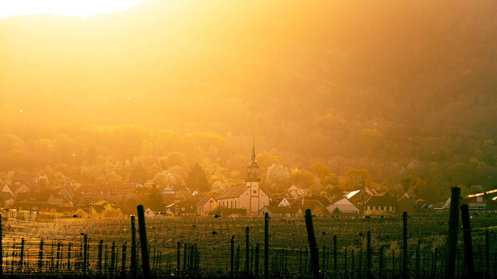 Photographie de paysage au coucher du soleil minimaliste et intemporelle dans la région Alsace